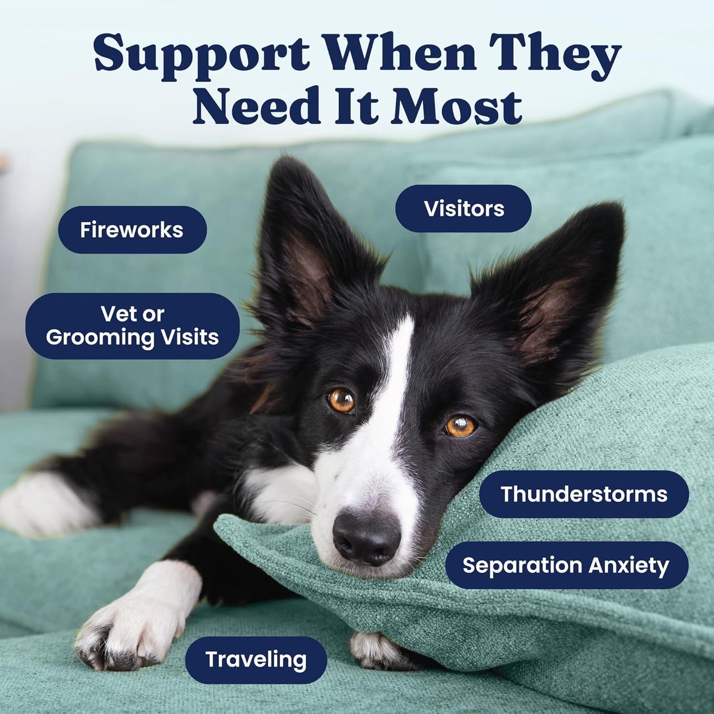 Calming Chews for Dogs - Dog Calming Chews W/Melatonin for Separation, Stress & Hyperactivity Relief - Supports Relaxation for Travel, Fireworks & Storms - All Ages & Sizes - Bacon 120Ct
